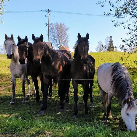 Eha Farmstay Rõuge Екстериор снимка
