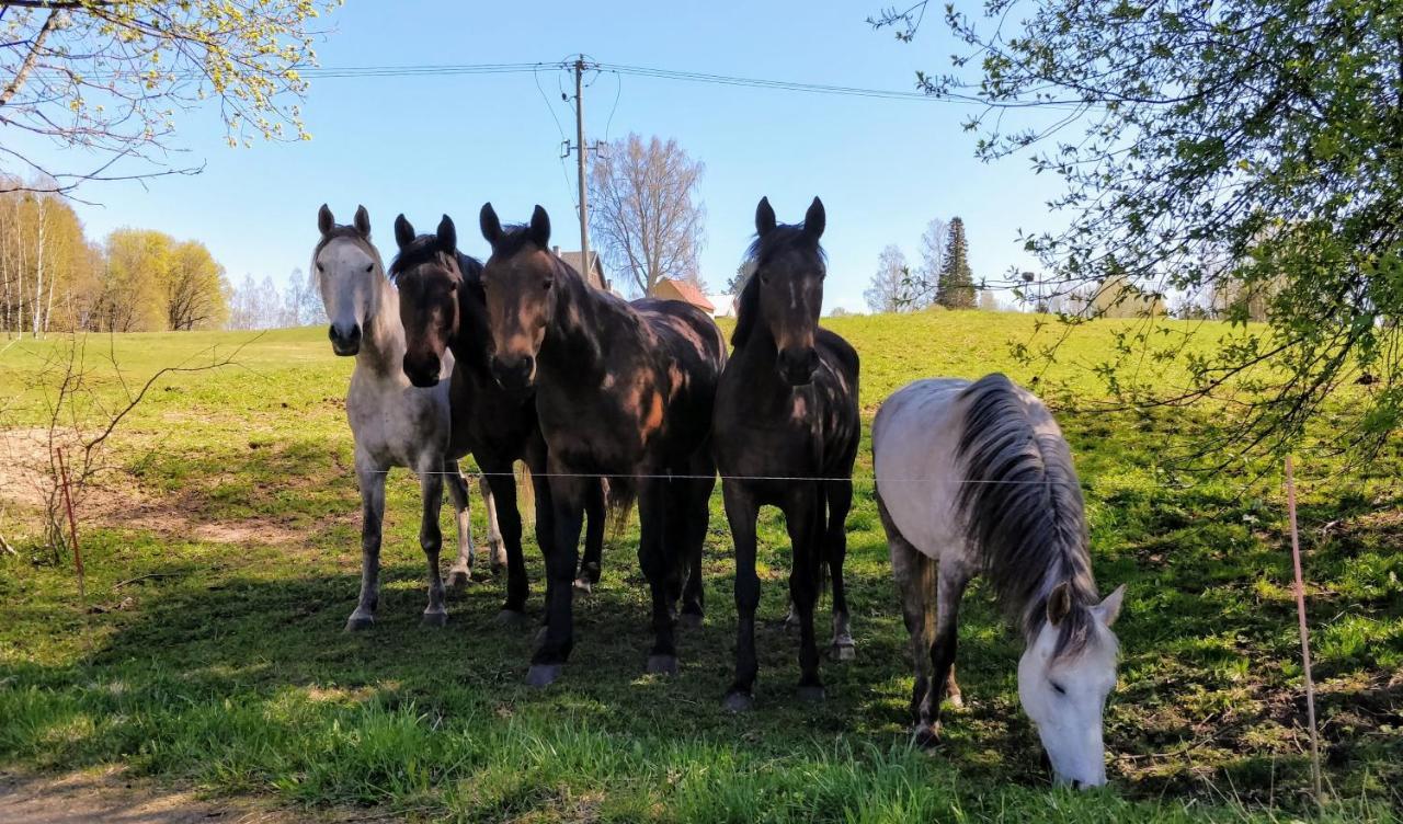 Eha Farmstay Rõuge Екстериор снимка